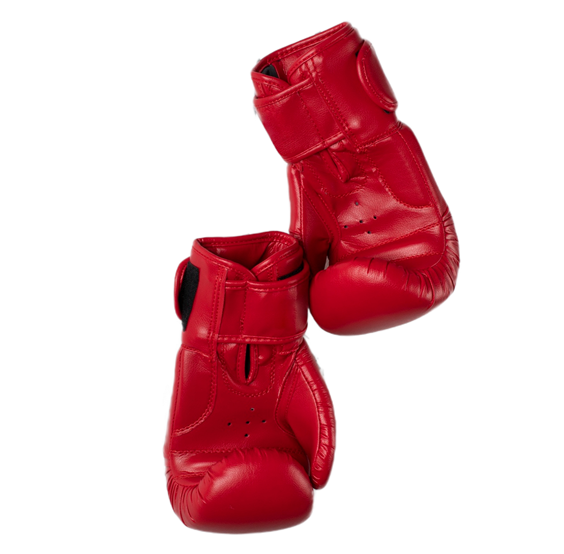 Kick Boxing Gloves